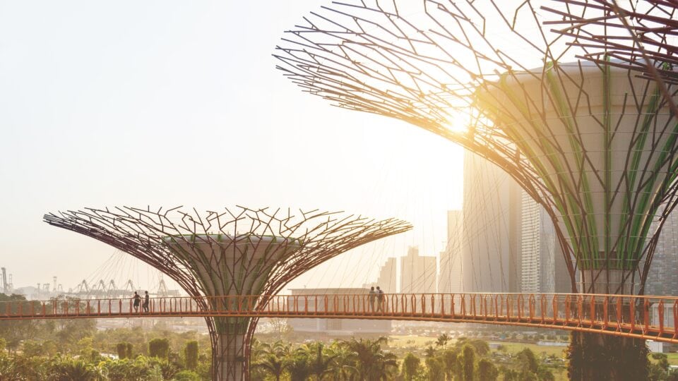 Futuristic tree-like structures in city