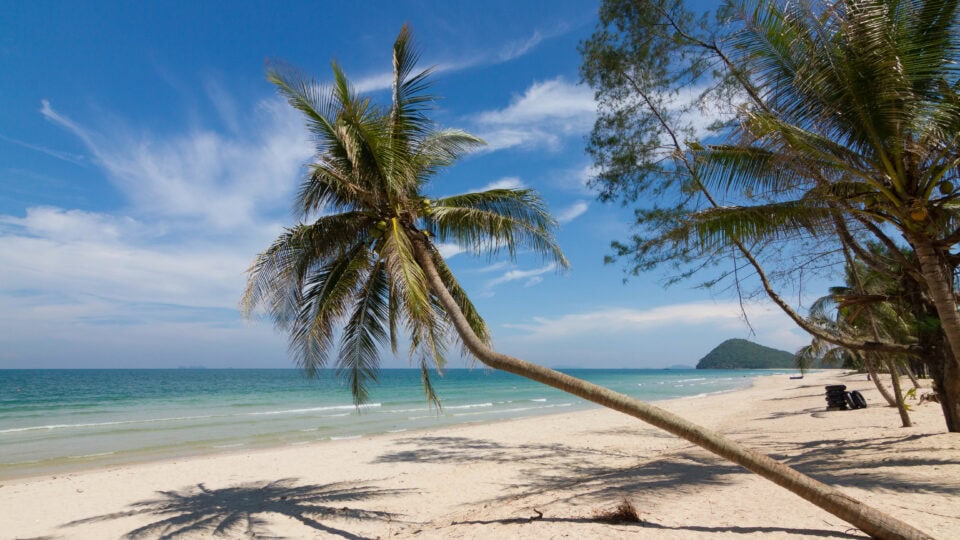 Sunny beach with leaning palm tree.