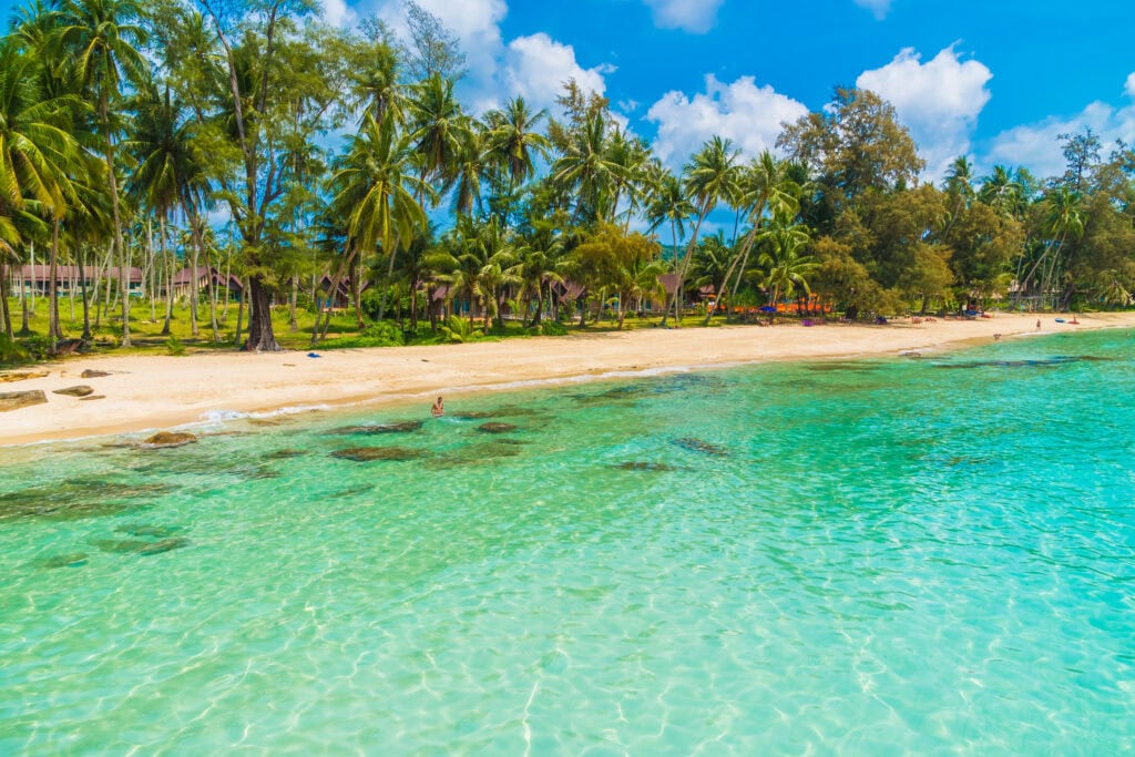 Clear water and palm-fringed beach