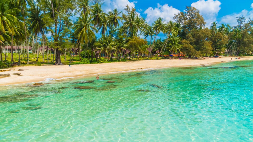 Clear water and palm-fringed beach