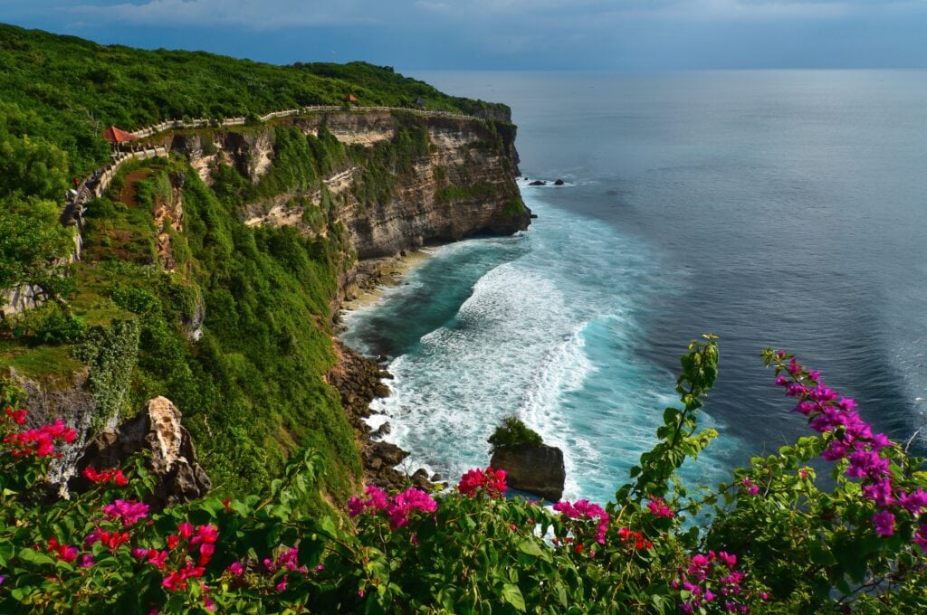 Cliffside view with ocean and flowers.