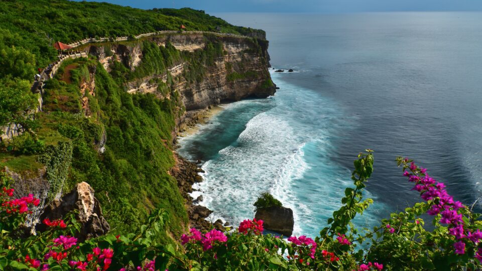 Cliffside view with ocean and flowers.
