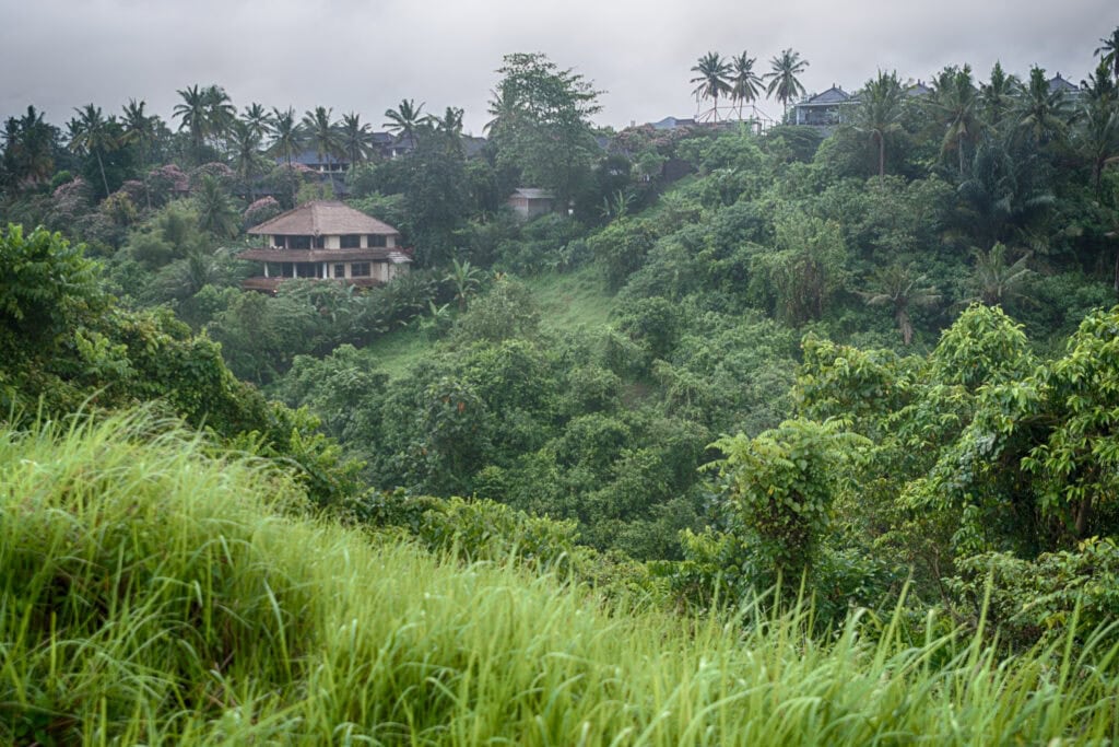 Lush green hillside with tropical vegetation.