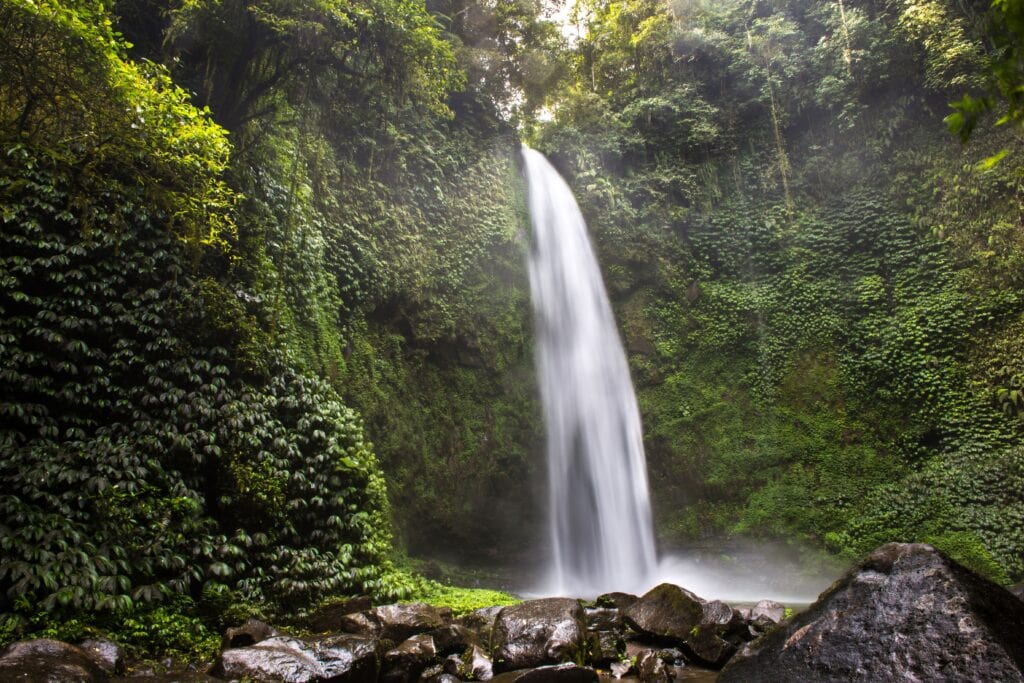 Tall waterfall surrounded by lush greenery.