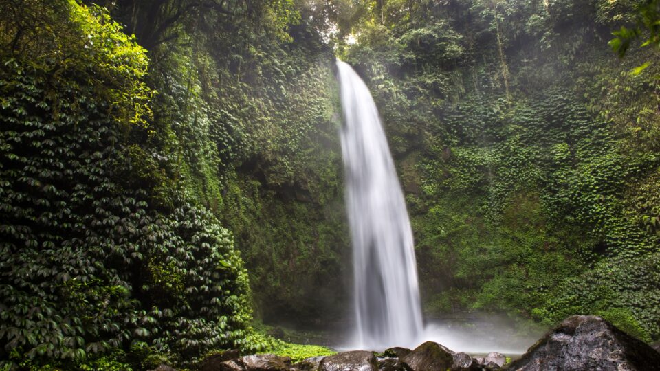 Tall waterfall surrounded by lush greenery.