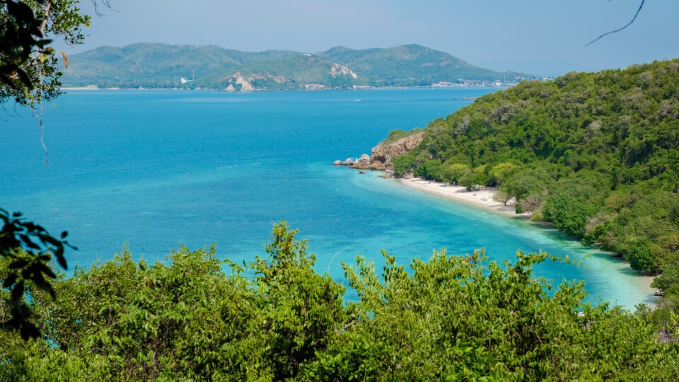 Tropical beach with clear blue water