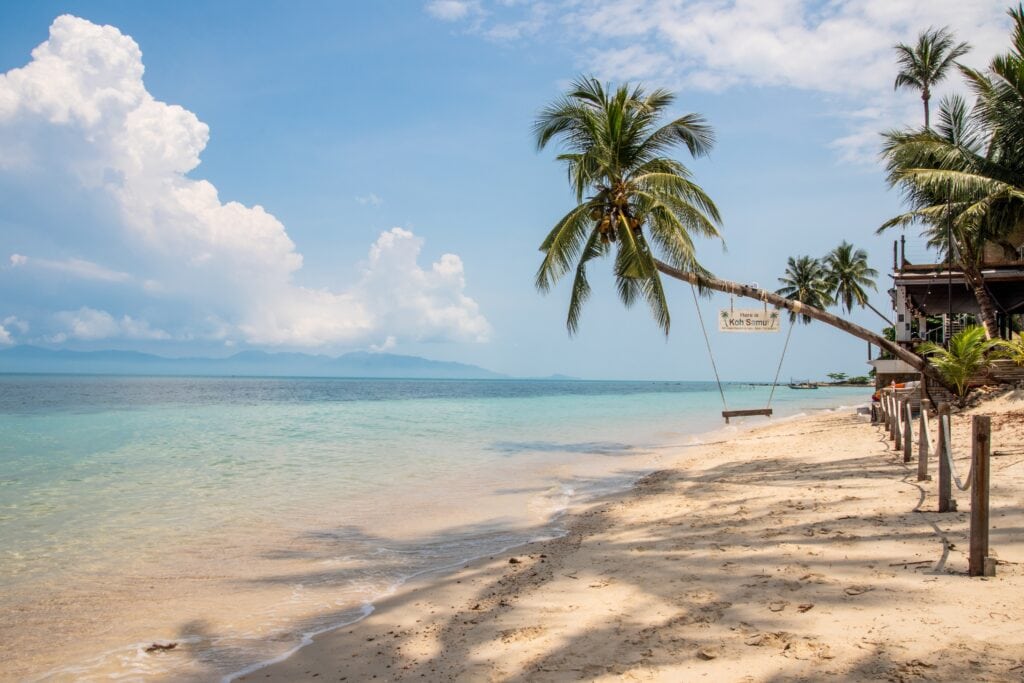 Tranquil beach with palm trees.