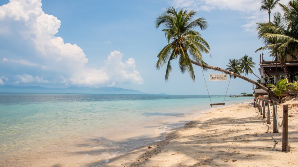 Tranquil beach with palm trees.