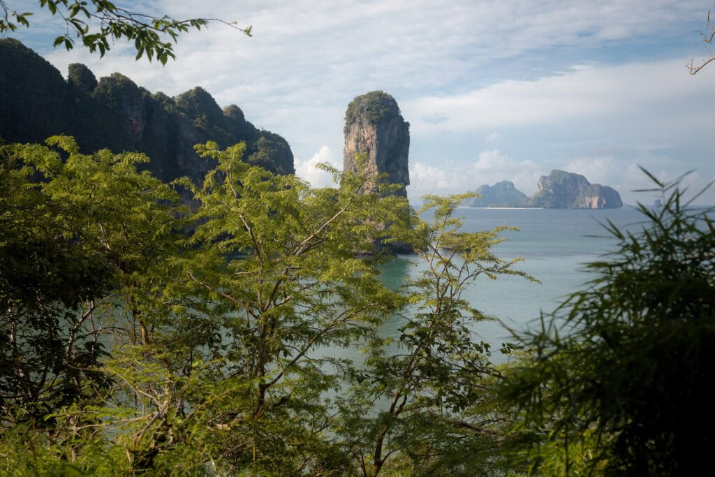 Lush greenery framing a serene coastline.
