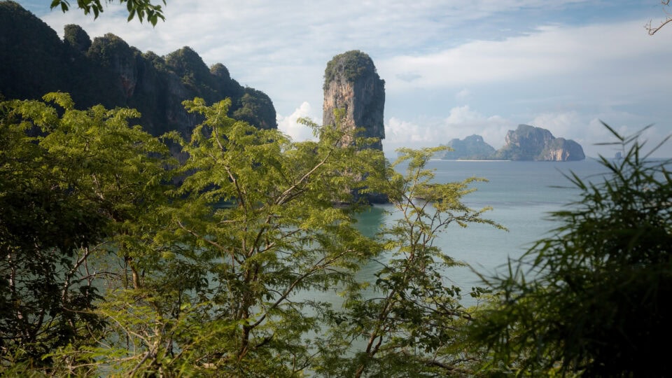 Lush greenery framing a serene coastline.