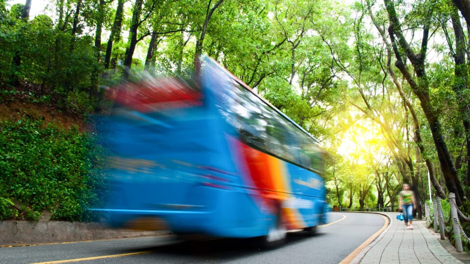 Bus moving through a green forest