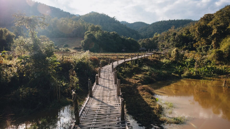 Scenic bridge over lush landscape.