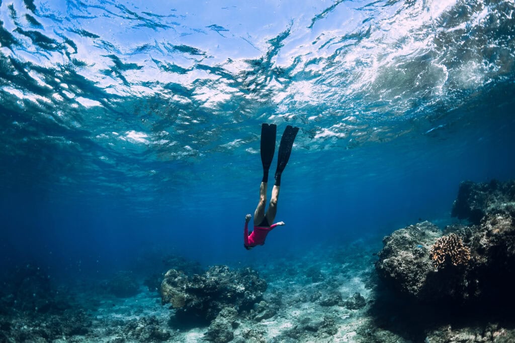 Freediver exploring vibrant underwater scenery.