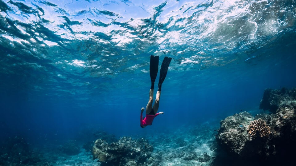 Freediver exploring vibrant underwater scenery.