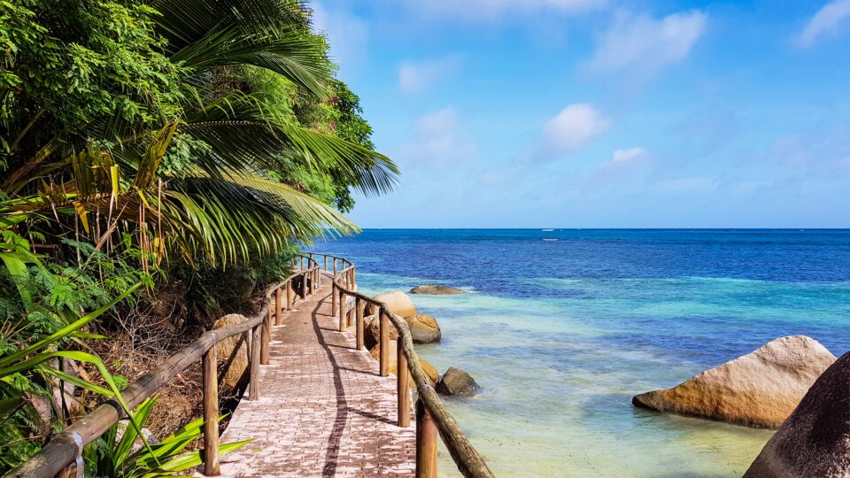 Scenic boardwalk by tropical beach.